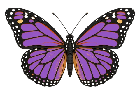 Recolor butterfly wings and remove pale dots — actual output