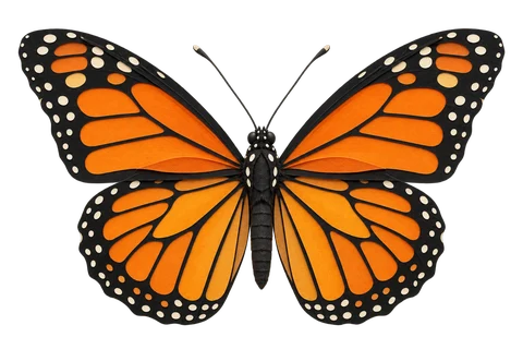 Butterfly journal sticker — input